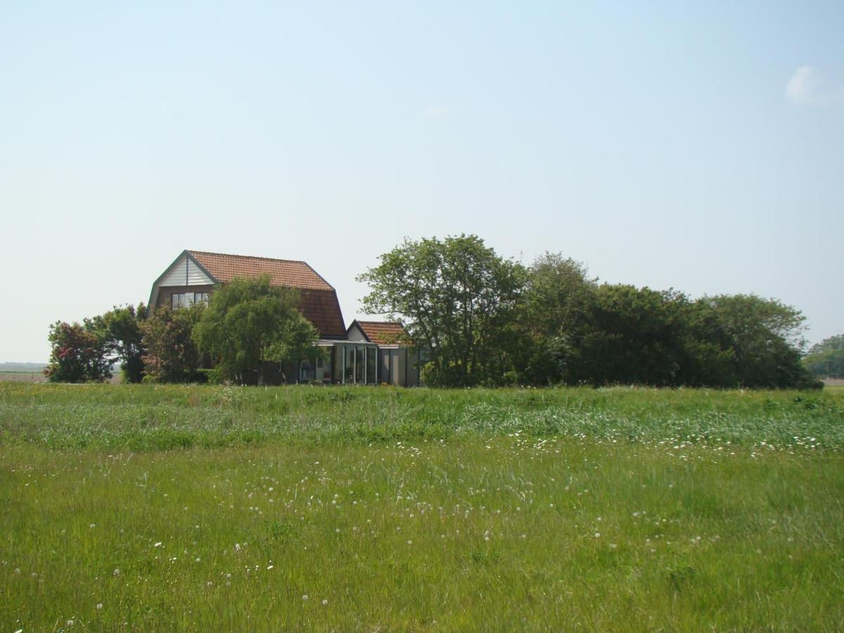 B&B Zuiderkreek De Cocksdorp  Extérieur photo